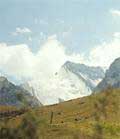 Альпийские луга в ущелье Шаит